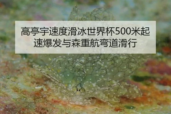 gao-ting-yu-su-du-hua-bing-shi-jie-bei-mi-qi-su-bao-fa-yu-sen-zhong-hang-wan-dao-hua-xing-2-403.jpg