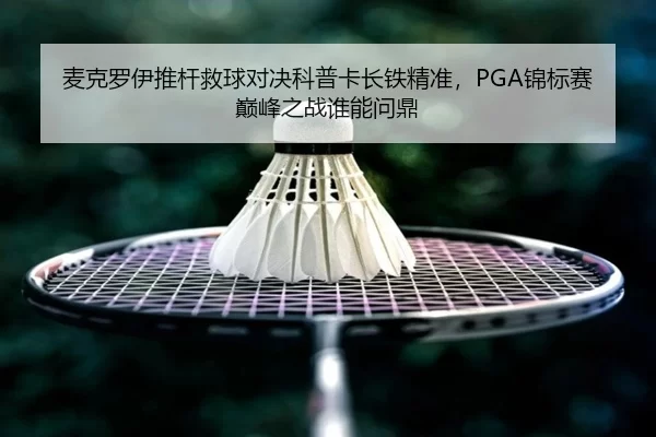 麦克罗伊推杆救球对决科普卡长铁精准，PGA锦标赛巅峰之战谁能问鼎